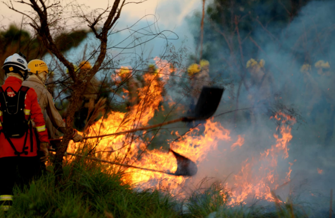 Imagem de compartilhamento para o artigo Homem joga bituca de cigarro em mato e causa incêndio em Paranaíba da MS Todo dia